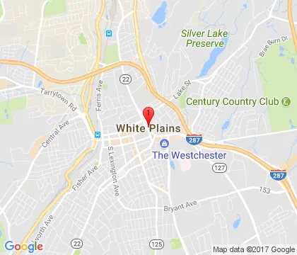 logo-image - white-plains-ny